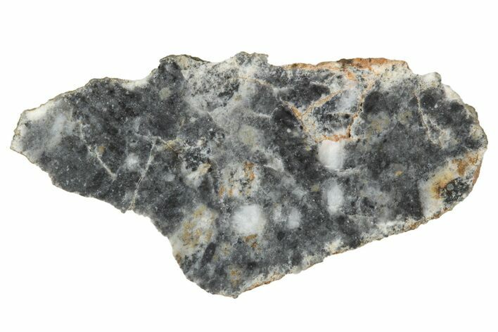 Lunar Meteorite ( g) Slice - Bechar #348228